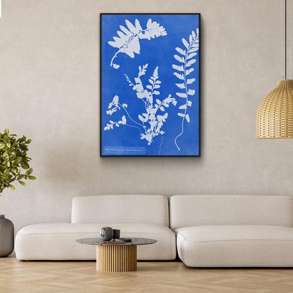 Anna Atkins - Zeestreepvaren Online Sale