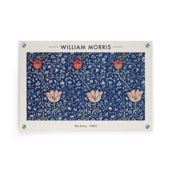 William Morris - Medway For Discount