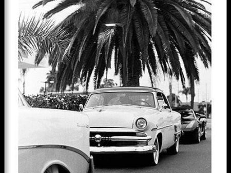 Classic Car Under A Palm Tree Online Hot Sale