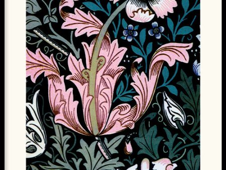 William Morris - Compton Online