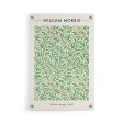 William Morris - Willow Bough Fashion