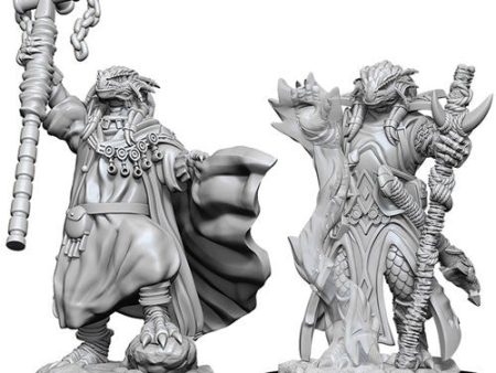 Nolzur s Marvelous Miniatures - Dragonborn Sorcerer For Cheap