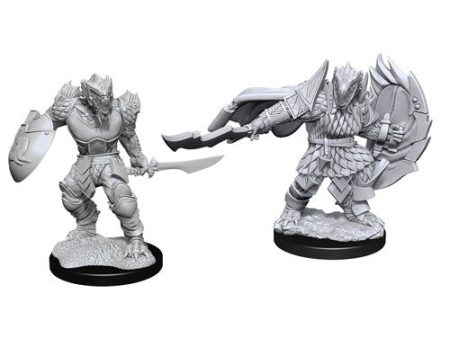 Nolzur s Marvelous Miniatures - W15 Male Dragonborn Fighter Discount