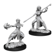 Nolzur s Marvelous Miniatures - Female Half-Elf Monk Hot on Sale