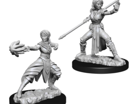 Nolzur s Marvelous Miniatures - Female Half-Elf Monk Hot on Sale