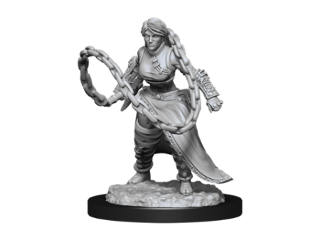 Nolzur s Marvelous Miniatures - Female Human Monk Fashion