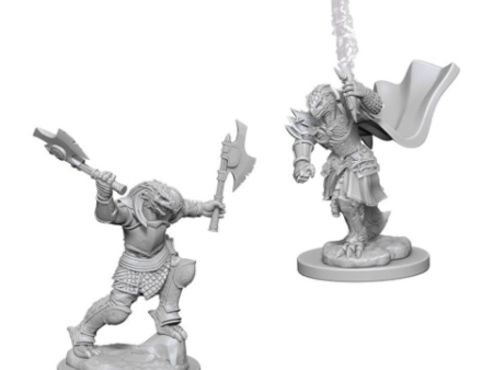 Nolzur s Marvelous Miniatures - Female Dragonborn Fighter Online now