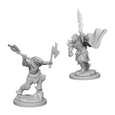 Nolzur s Marvelous Miniatures - Female Dragonborn Fighter Online now