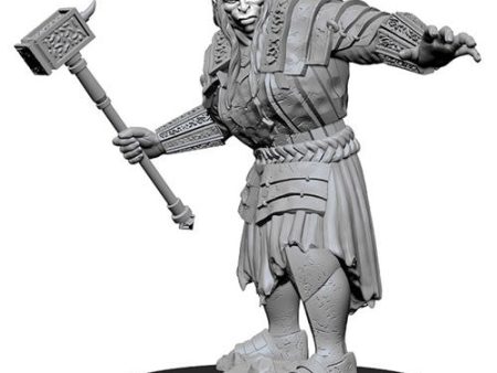 Nolzur s Marvelous Miniatures - W7 Fire Giant For Discount