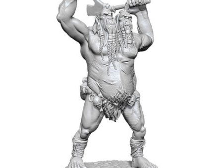 Nolzur s Marvelous Miniatures - Ettin Wave 12.5 Online now