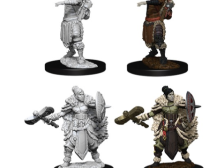 Nolzur s Marvelous Miniatures - Female Half-Orc Barbarian Sale