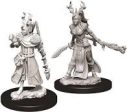 Nolzur s Marvelous Miniatures - Female Human Druid Discount