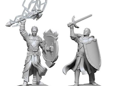 Nolzur s Marvelous Miniatures - W14 Male Half-Elf Paladin Online Hot Sale