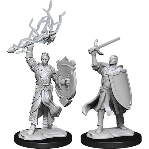 Nolzur s Marvelous Miniatures - W14 Male Half-Elf Paladin Online Hot Sale