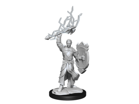 Nolzur s Marvelous Miniatures - Male Half-Elf Paladin Online Sale