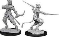 Nolzur s Marvelous Miniatures - Male Tabaxi Rogue Discount