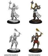 Nolzur s Marvelous Miniatures - Female Human Cleric Supply