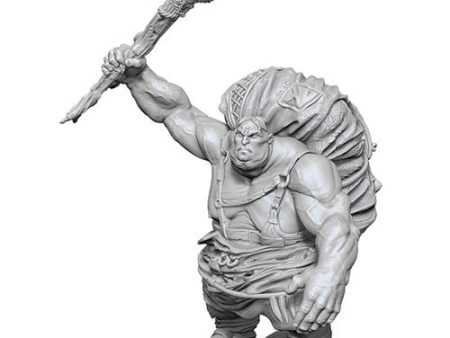 Nolzur s Marvelous Miniatures - Hill Giant Fashion