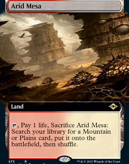 Arid Mesa (Extended Art) [Modern Horizons 2] Hot on Sale