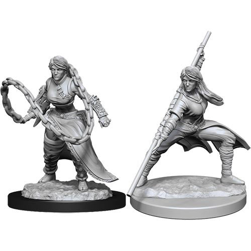 Nolzur s Marvelous Miniatures - W14 Female Human Monk Online