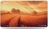 Ultra Pro Magic The Gathering: Unstable Plains - Playmat (UP86710) For Discount