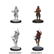 Nolzur s Marvelous Miniatures - Tiefling Male Sorcerer Sale