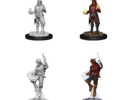 Nolzur s Marvelous Miniatures - Tiefling Male Sorcerer Sale