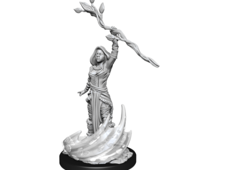 Nolzur s Marvelous Miniatures - Human Female Druid For Sale