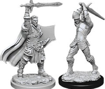 Nolzur s Marvelous Miniatures - Male Human Paladin Sale