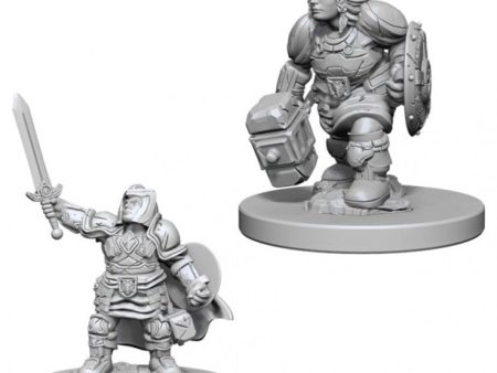 Nolzur s Marvelous Miniatures - Male Dwarf Paladin For Cheap