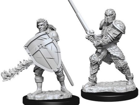 Nolzur s Marvelous Miniatures - Male Human Fighter For Cheap