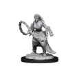 Nolzur s Marvelous Miniatures - Human Monk Online