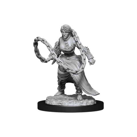 Nolzur s Marvelous Miniatures - Human Monk Online