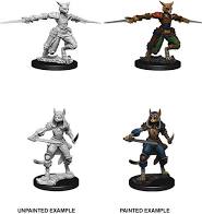 Nolzur s Marvelous Miniatures - Female Tabaxi Rogue Sale