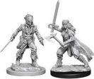 Nolzur s Marvelous Miniatures - Vampire Hunters Cheap