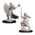 Nolzur s Marvelous Miniatures - Female Elf Paladin Cheap