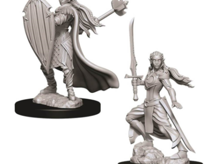 Nolzur s Marvelous Miniatures - Female Elf Paladin Cheap